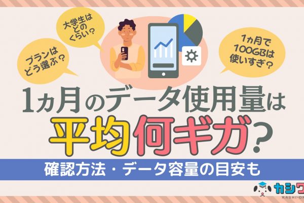 1ヶ月で平均何ギガ使う？確認方法・データ容量の目安も ｜ カシワン
