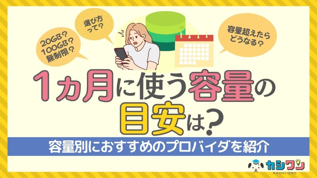 ポケットWiFi 1ヵ月