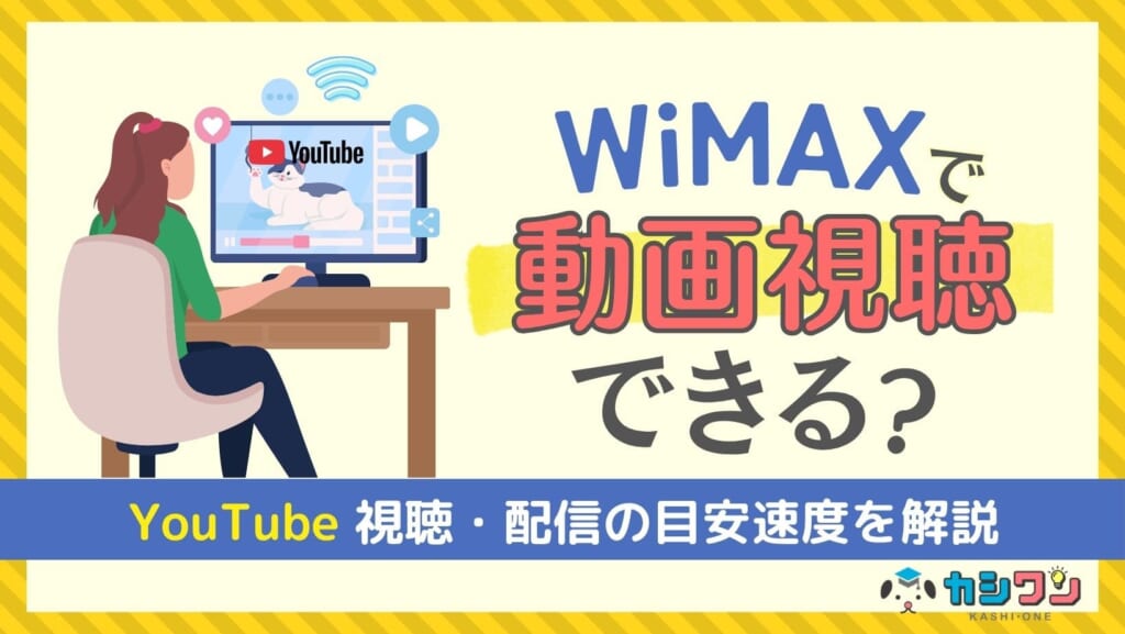 WiMAX 動画視聴
